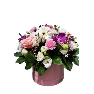 ELEGANTA CLASICA