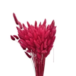 LAGURUS - PINK