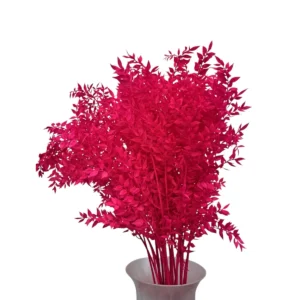 RUSUCUS - PINK